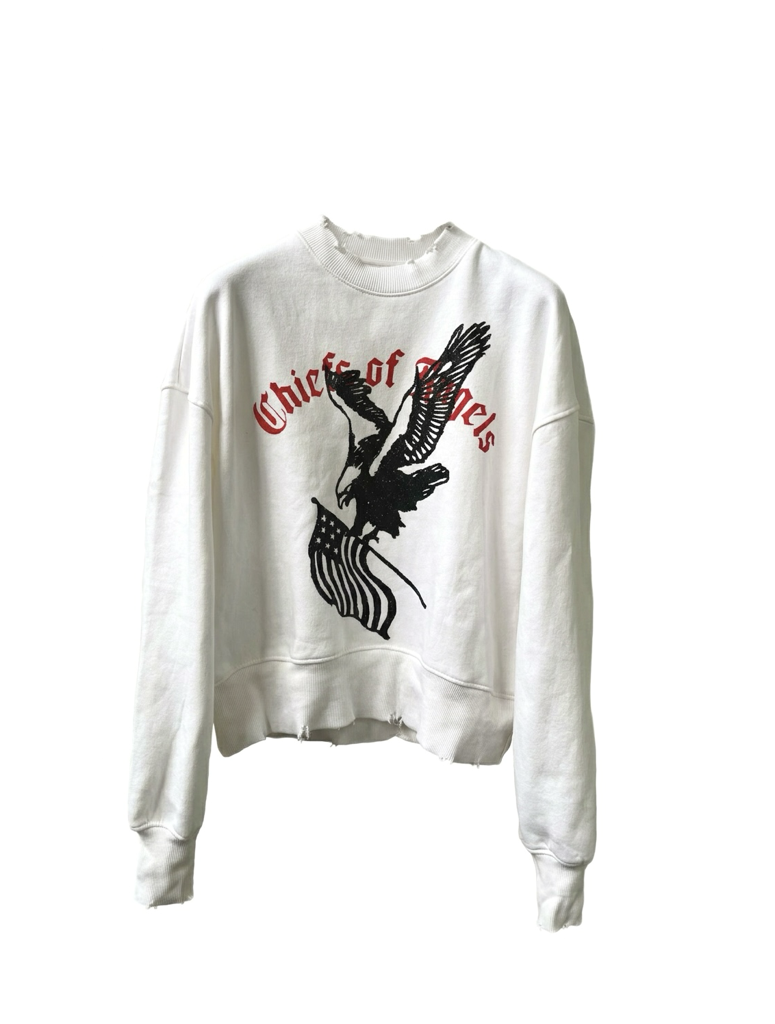 FLAG EAGLE SWEATER